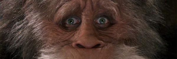 therealPolito's profile banner image