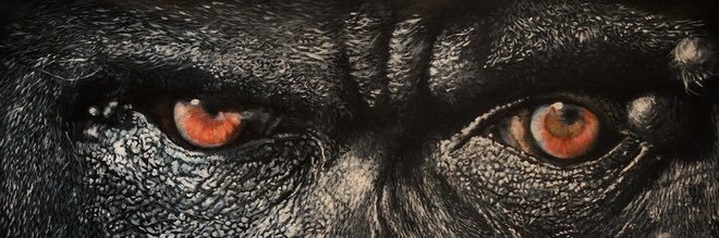 David Carter banner