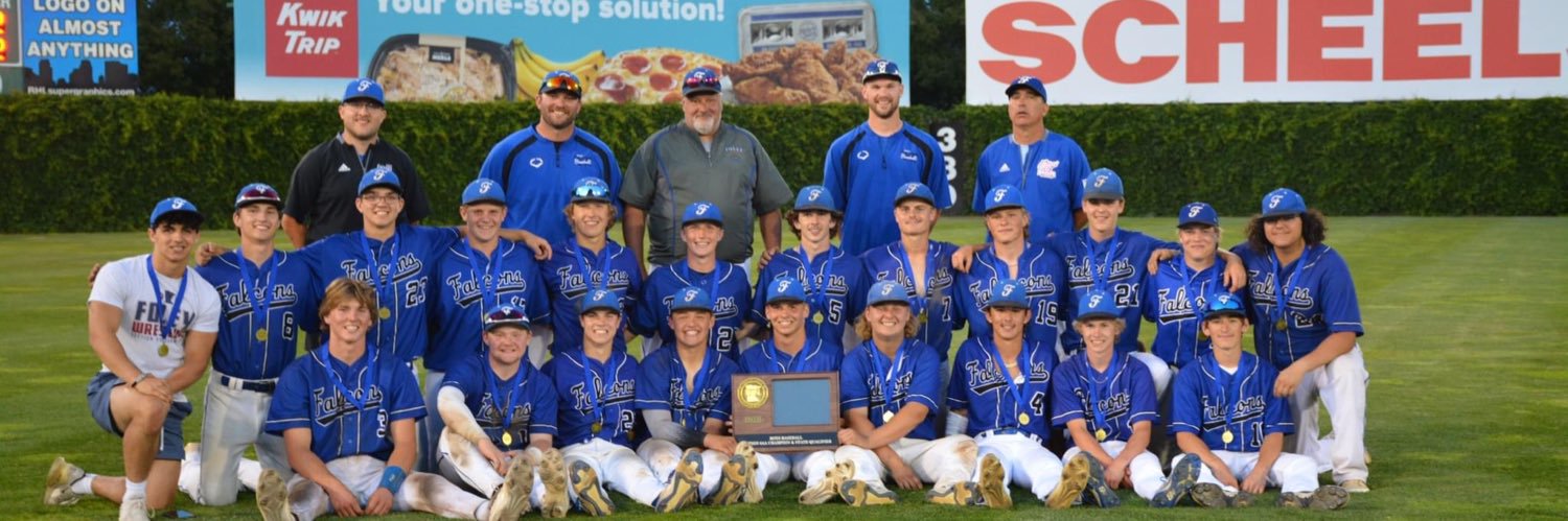 Falcon Baseball banner