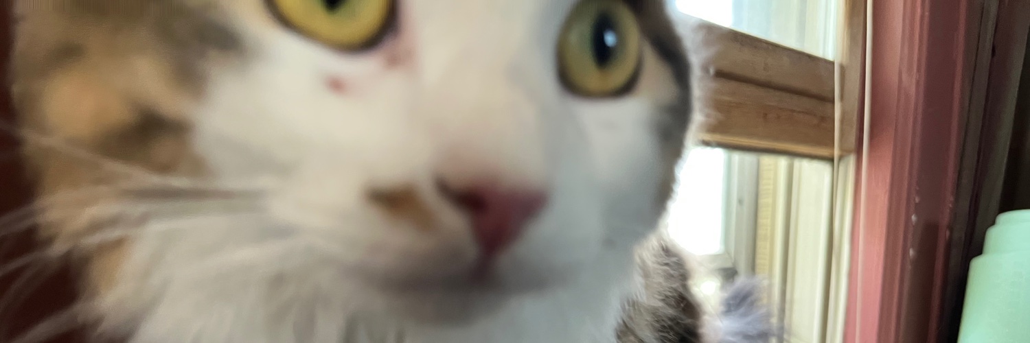 ACrom13's profile banner image