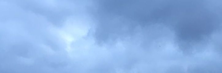 ReinadelBrick's profile banner image