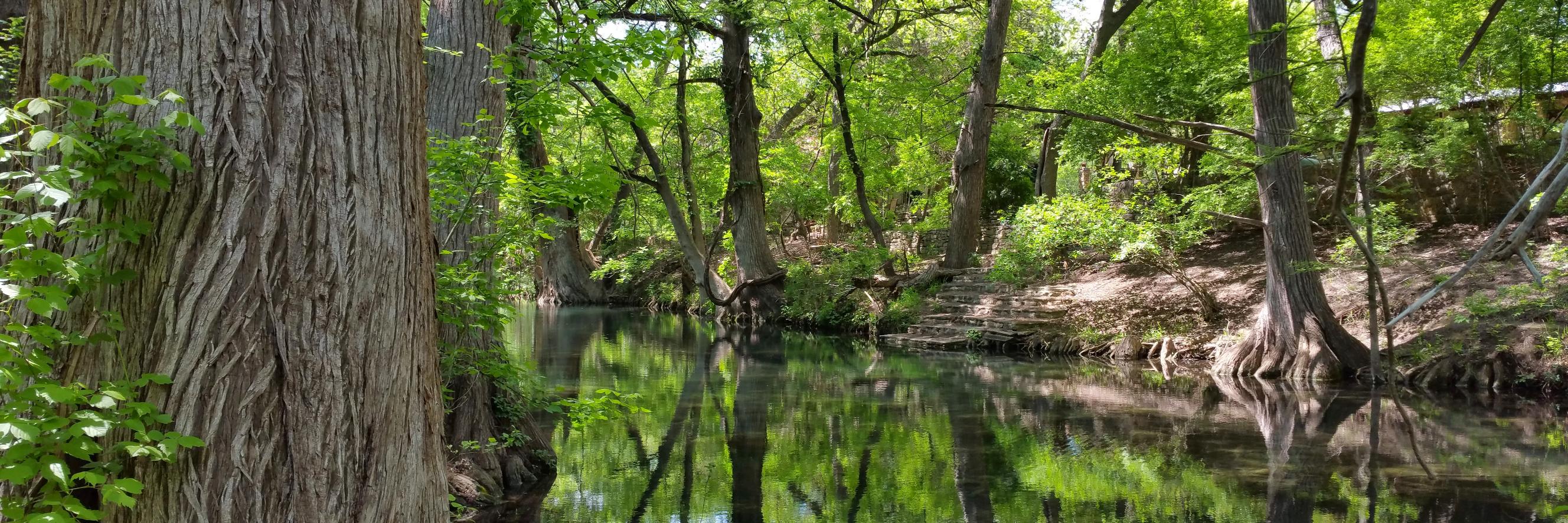 InWimberleyTX's profile banner image