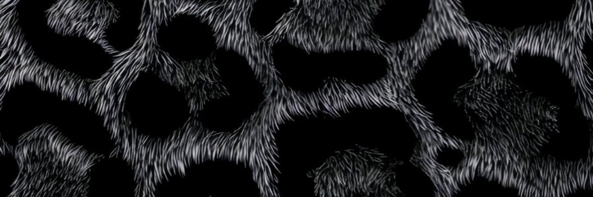 1111IIII11's profile banner image