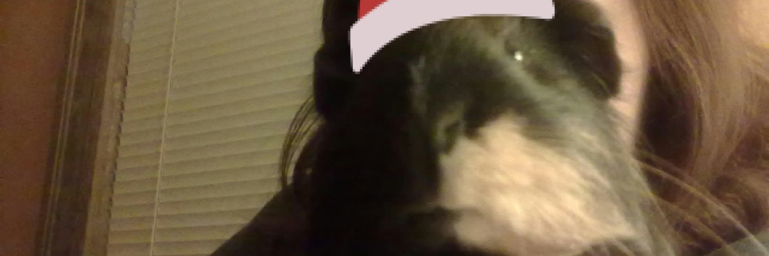 SweepskweenRed's profile banner image