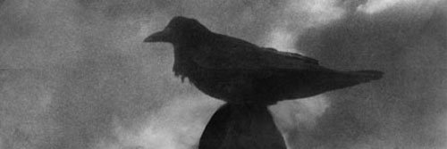 CharismaOfTears's profile banner image