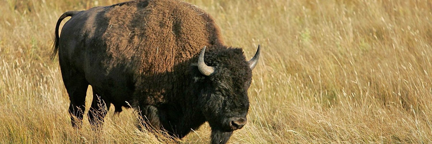 Chad Joice, Ed.D. banner