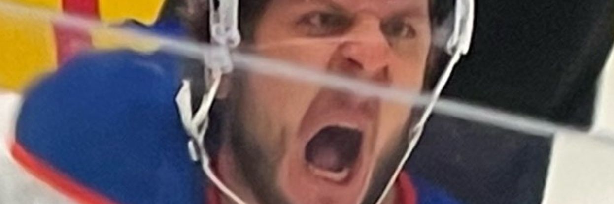 Commando Pisani banner