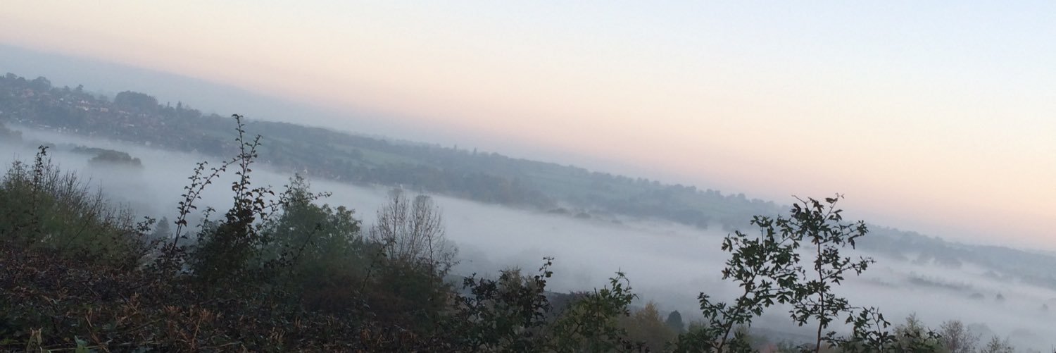 Georgia Wilson banner