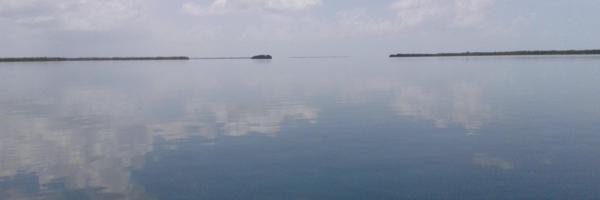 clflesh Profile Banner