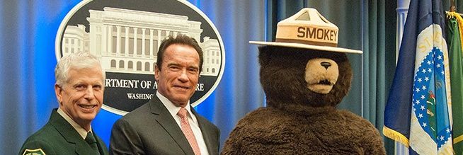 El Muscho, l'ours ronchon. banner