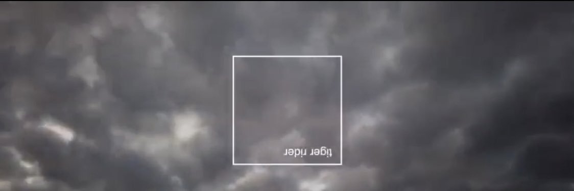 tigerriderband's profile banner image