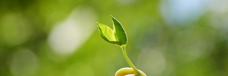 kdilbeck1's profile banner image