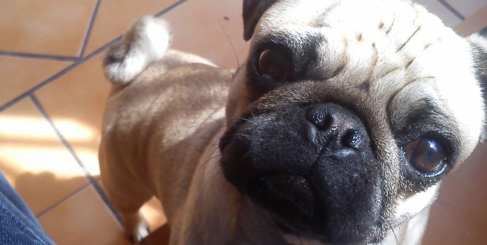 katiarg2's profile banner image