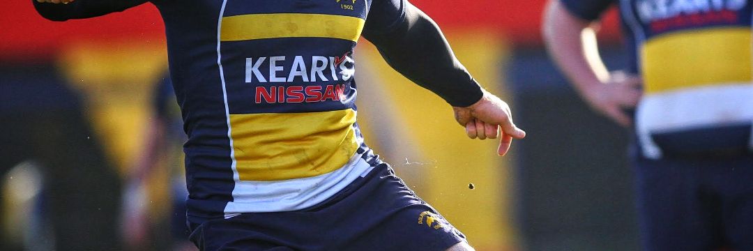 Dolphin RFCᅠᅠᅠᅠᅠᅠᅠᅠᅠᅠᅠᅠᅠᅠᅠᅠᅠᅠᅠᅠᅠᅠᅠᅠ banner