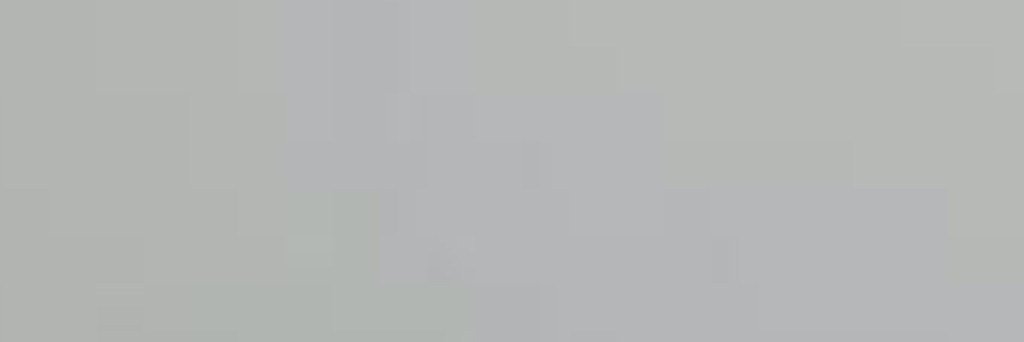 Smg banner