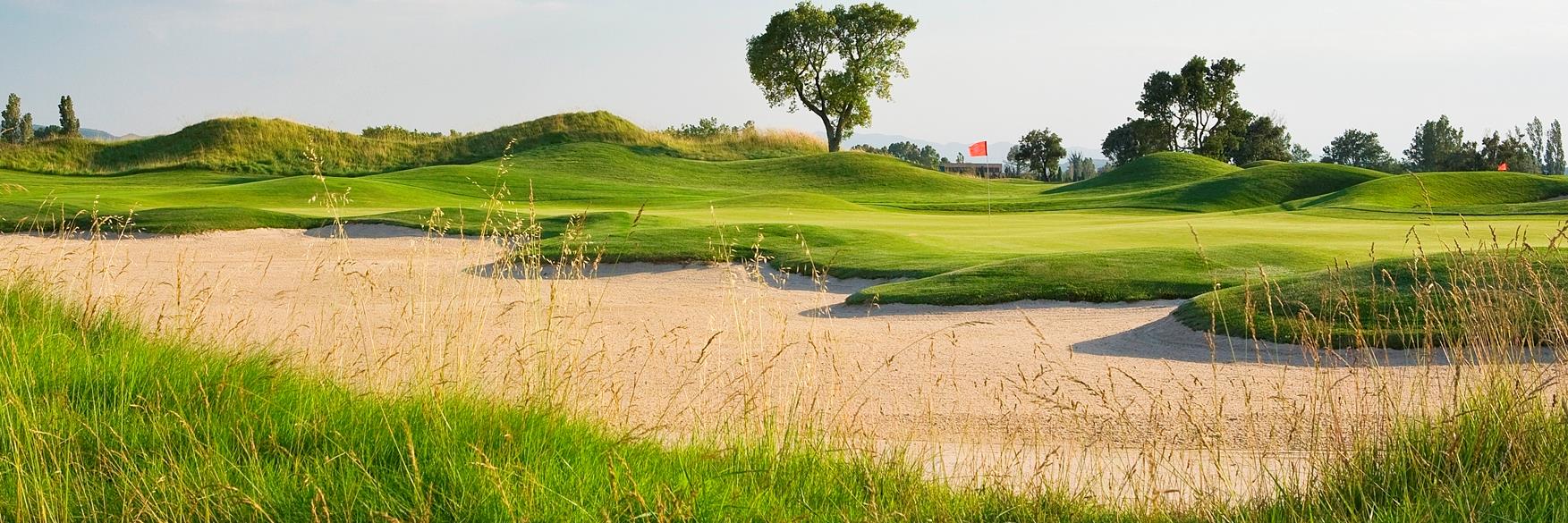 vhsbgolf's profile banner image