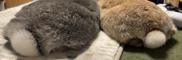 aisu_paupau Profile Banner