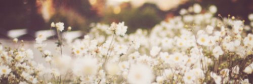 Carlysucre's profile banner image