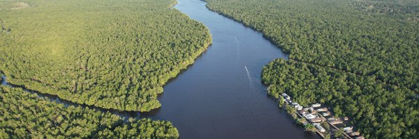 blue_forests Profile Banner