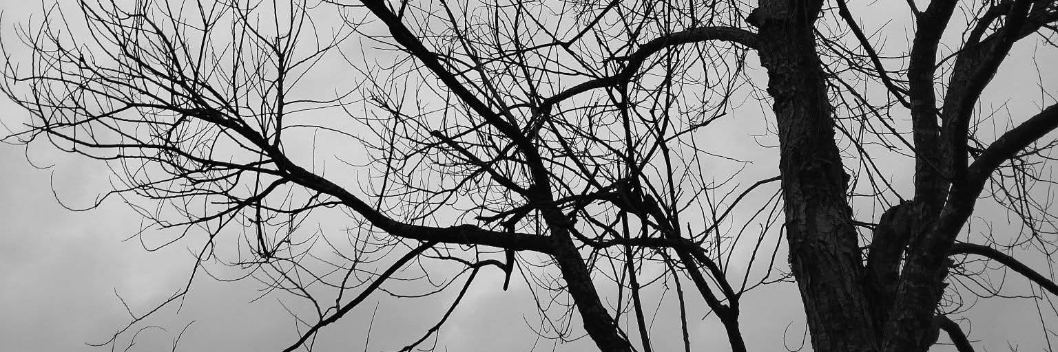 JODIY (❖,❖) banner