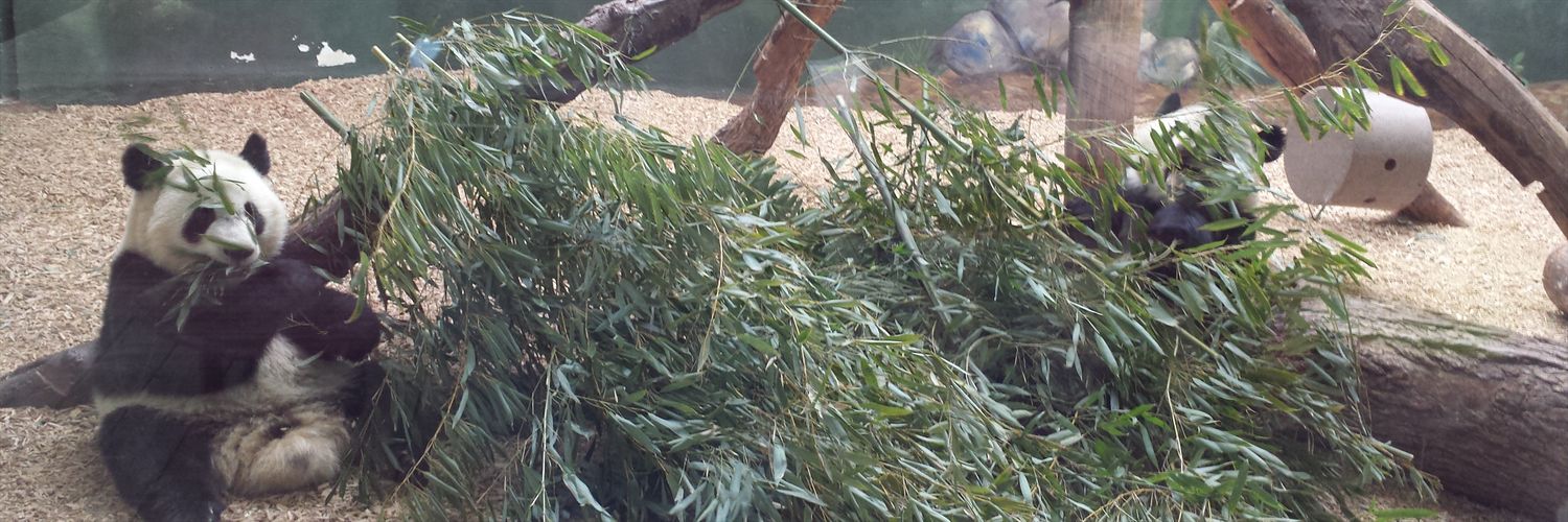 LDYGTN's profile banner image