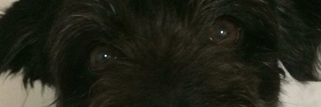 AlbaRoll_'s profile banner image