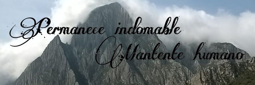 amoSERindomable's profile banner image