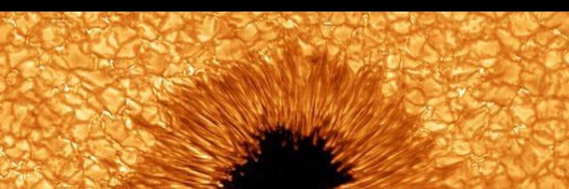 Pitter Patter banner