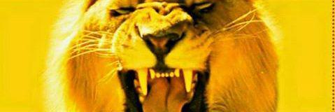 Ahkiym55's profile banner image
