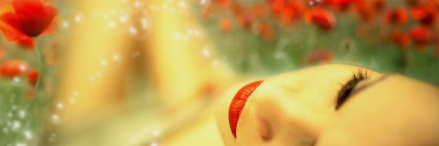 Laura Sanders banner