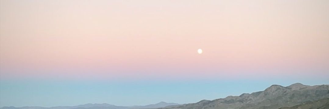 icypengujn's profile banner image