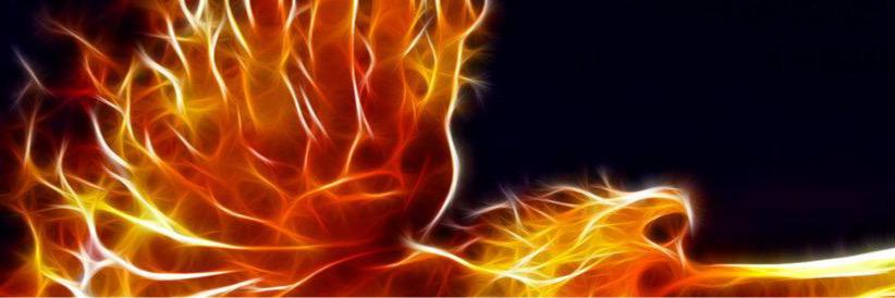 PheonixTourneys's profile banner image