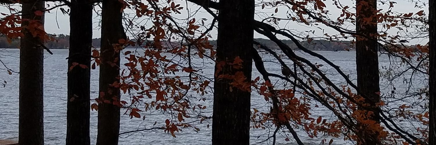 MrsAlway's profile banner image