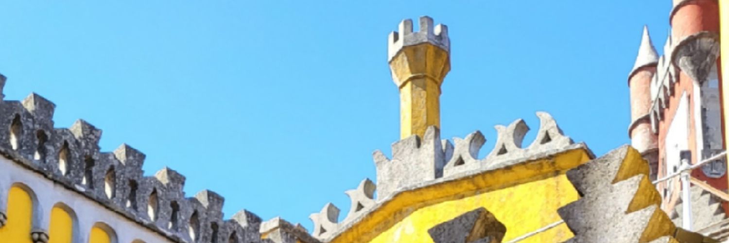 FFlaviamanoni's profile banner image