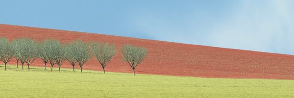 faifeelsgood Profile Banner