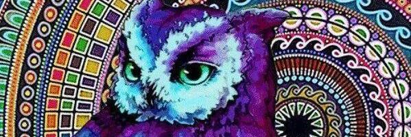N5German's profile banner image