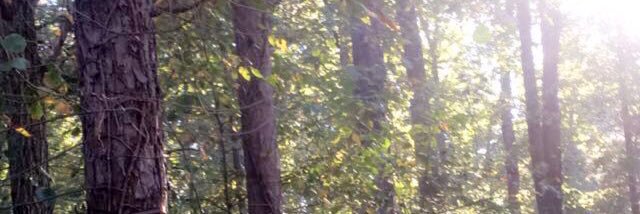 Madi_Batten's profile banner image
