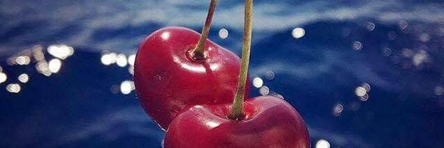 Dimitris Aloukos banner