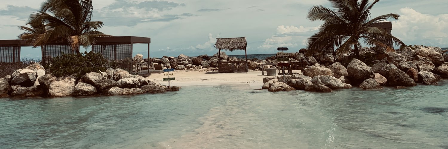 BrichBrie's profile banner image