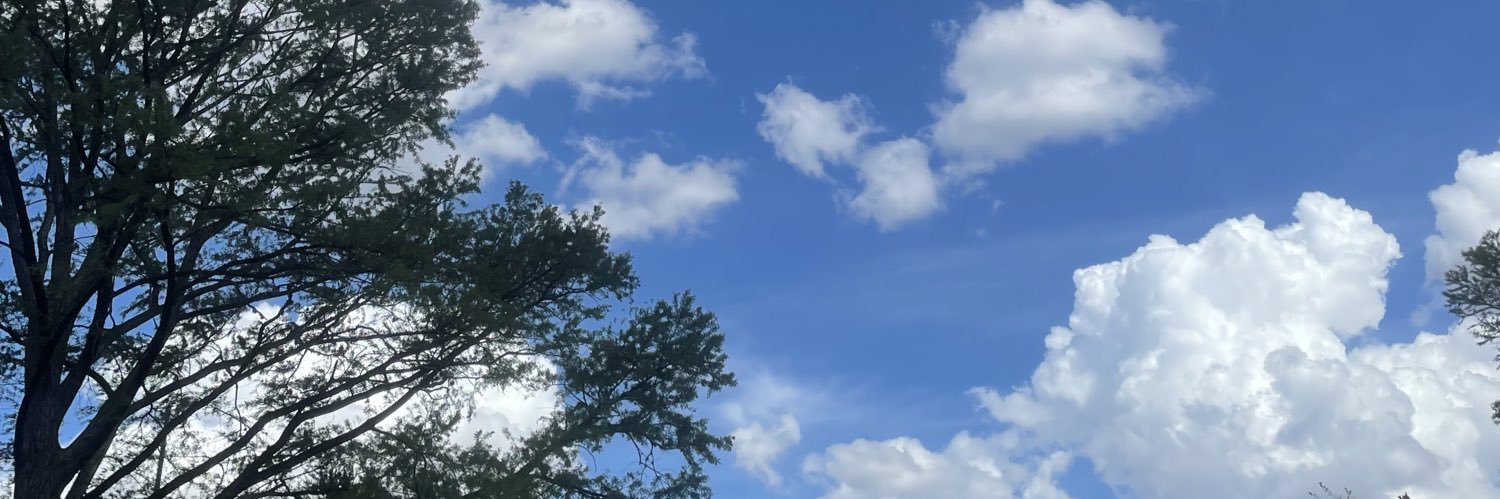 lightskinkeyy's profile banner image