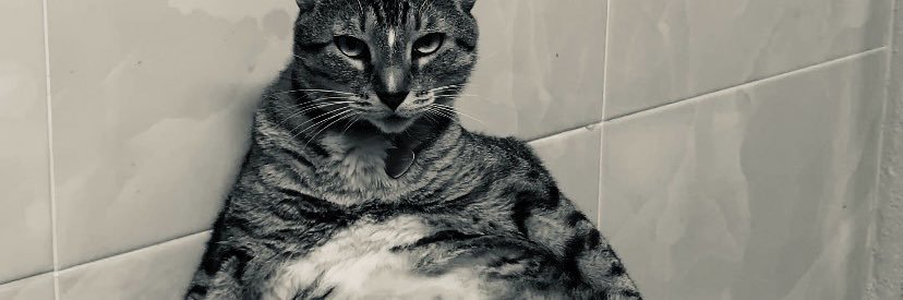 croissant relleno de cajeta banner