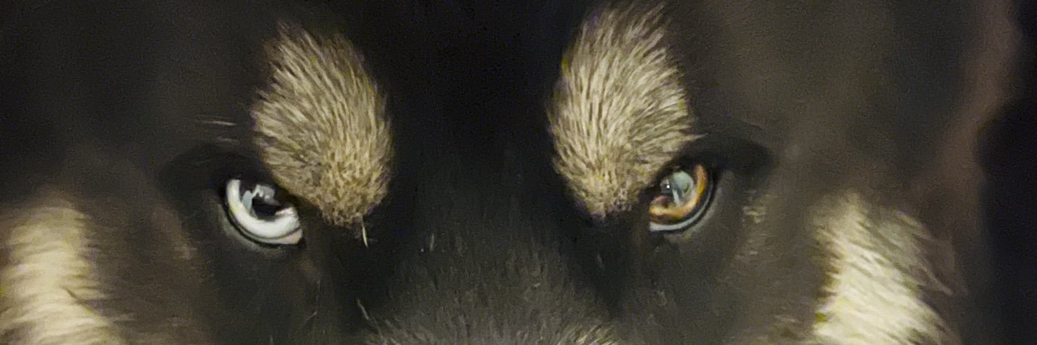Dmnp23_'s profile banner image