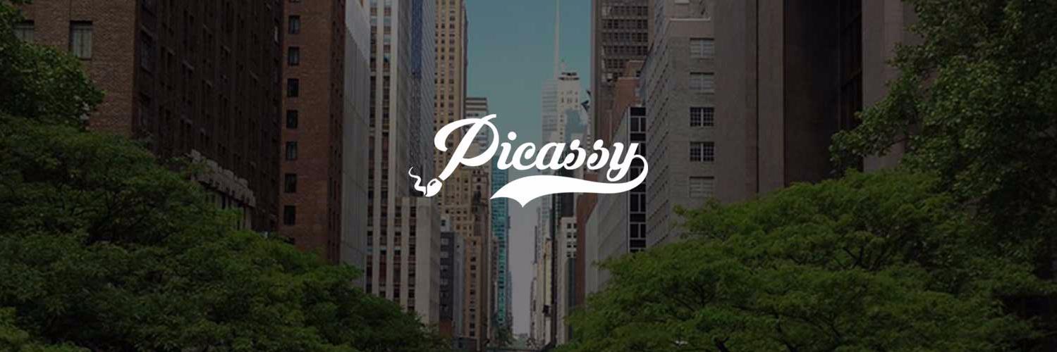 picassy's profile banner image