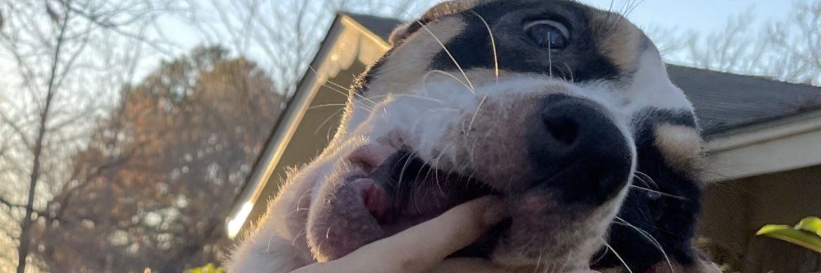 laurynkylee_'s profile banner image
