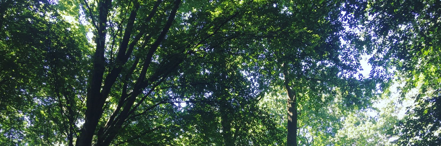 BETHLARRR's profile banner image