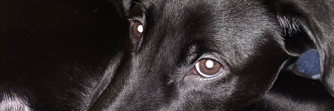 RedRyd's profile banner image