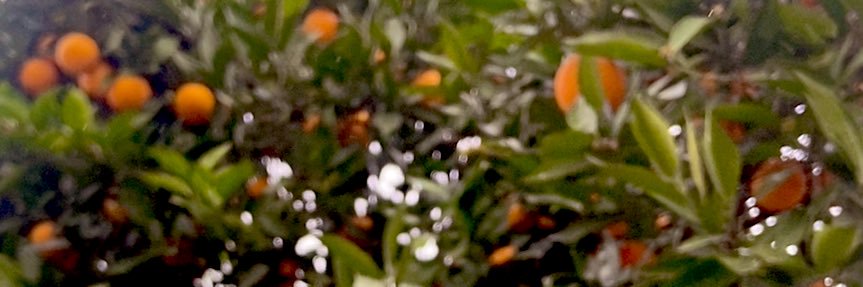 15_sam55's profile banner image