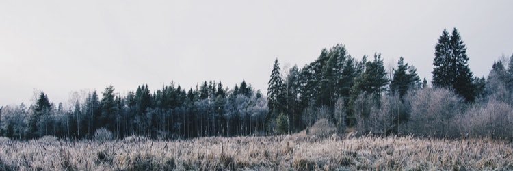 Dandandiscodan's profile banner image