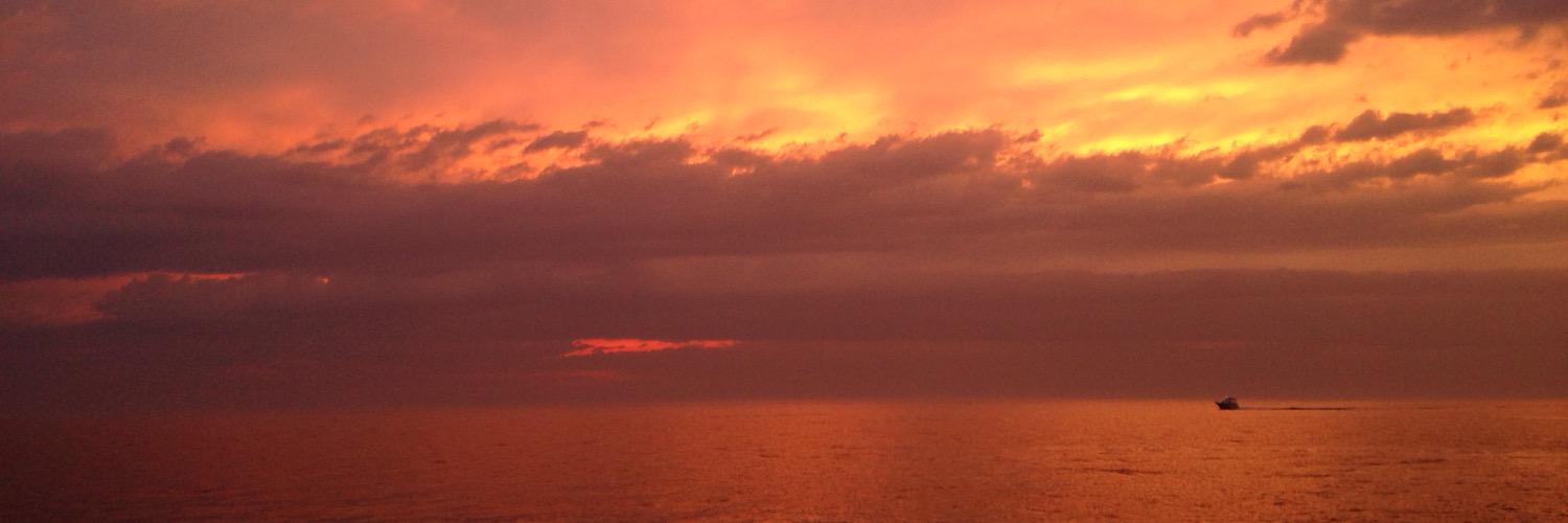 meeshelly_rose's profile banner image