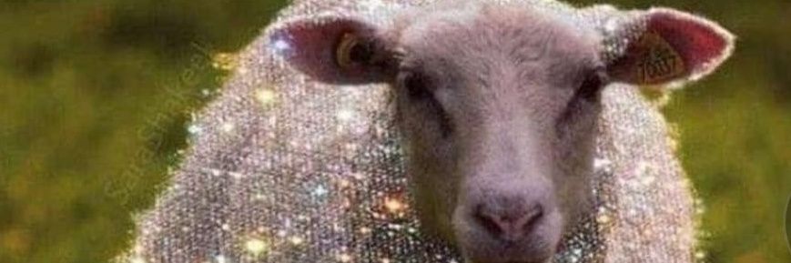 fredyperezg's profile banner image